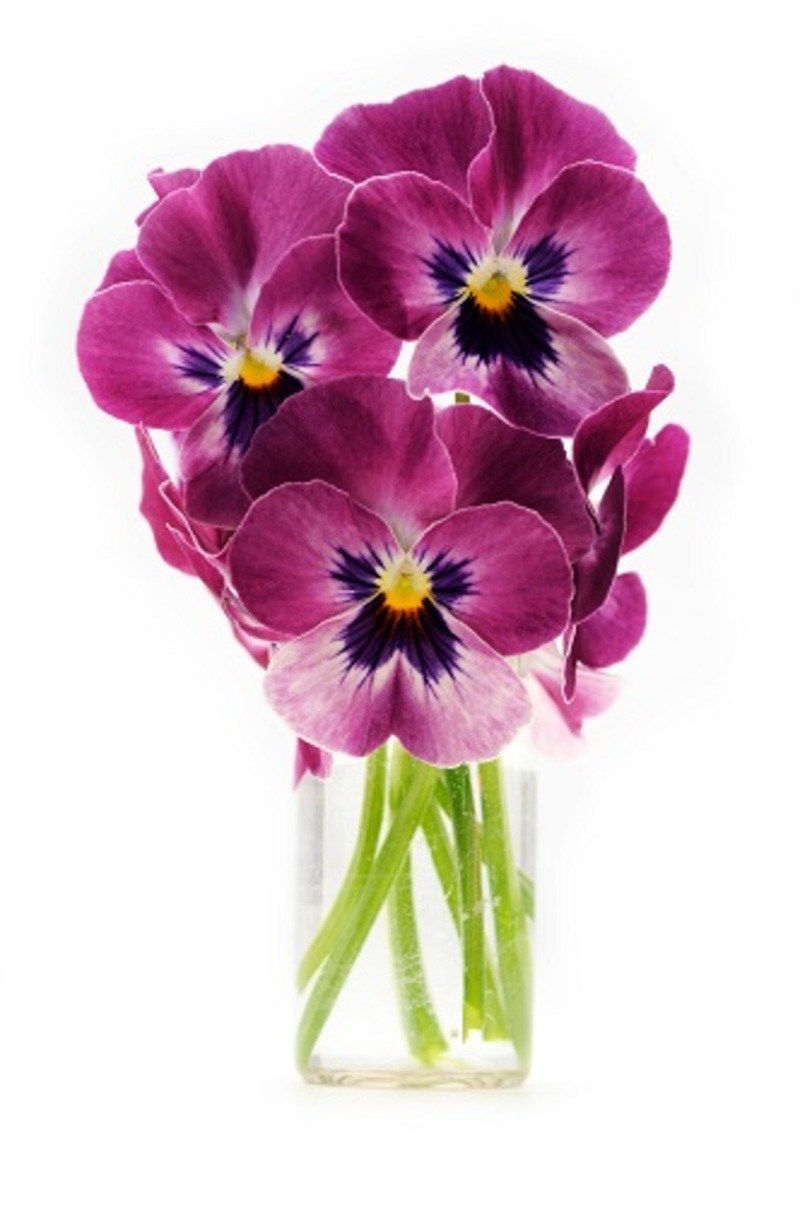 Flowers florists